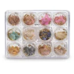 Kit Madre Pérola com Folha de Ouro 12 Unidades